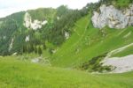 2014-07-05_Laengental-N-Hochweg (835). JPG